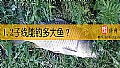 1.2子线能钓多大鱼？