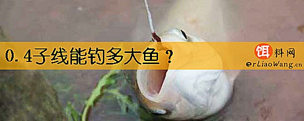 0.4子线能钓多大鱼