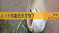 0.4子线能钓多大鱼？