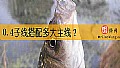 0.4子线搭配多大主线？