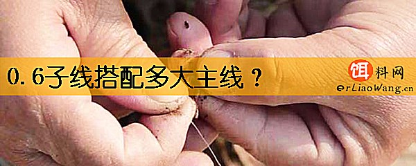 0.6子线搭配多大主线