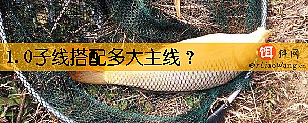 1.0子线搭配多大主线