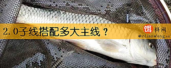 2.0子线搭配多大主线