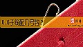 《0.6子线配几号钩？》封面图