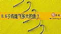 《0.6子线能飞多大的鱼？》封面图