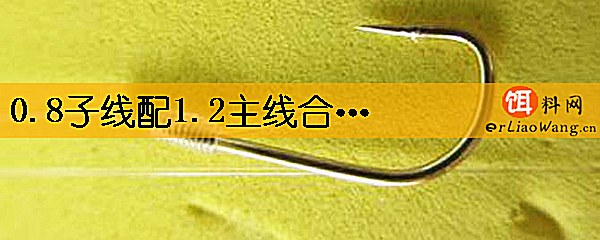 0.8子线配1.2主线合理吗