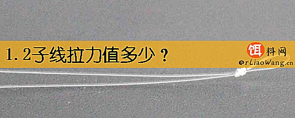 1.2子线拉力值多少