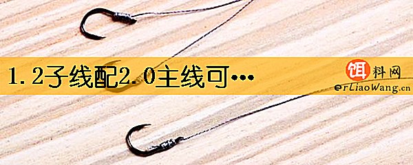 1.2子线配2.0主线可以吗
