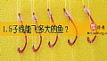 1.5子线能飞多大的鱼？