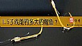 《1.5子线能钓多大的鲤鱼？》封面图