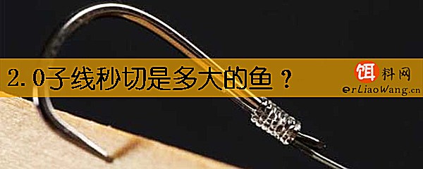 2.0子线秒切是多大的鱼