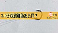 2.0子线钓鲫鱼怎么样？