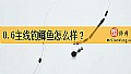 《0.6主线钓鲫鱼怎么样?》封面图