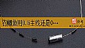 《钓鲫鱼用0.6主线还是0.8主线?》封面图