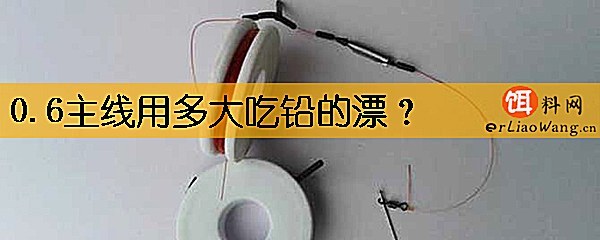 0.6主线用多大吃铅的漂