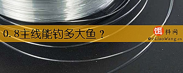0.8主线能钓多大鱼