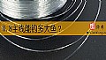 《0.8主线能钓多大鱼?》封面图