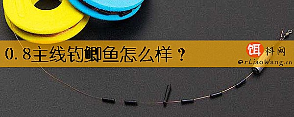 0.8主线钓鲫鱼怎么样