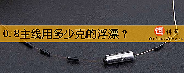 0.8主线用多少克的浮漂