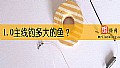1.0主线钓多大的鱼?