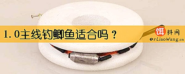 1.0主线钓鲫鱼适合吗