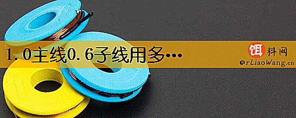 1.0主线0.6子线用多大浮漂