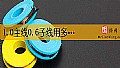 《1.0主线0.6子线用多大浮漂？》封面图