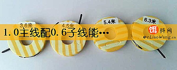 1.0主线配0.6子线能钓多大鱼