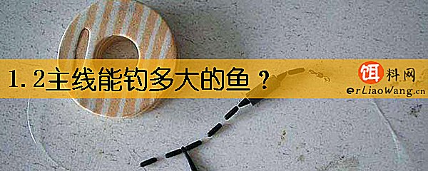 1.2主线能钓多大的鱼