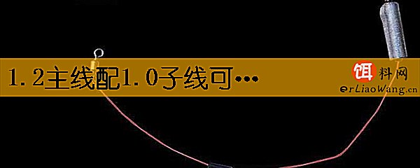 1.2主线配1.0子线可以吗