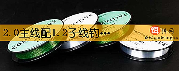 2.0主线配1.2子线钓多重的鱼