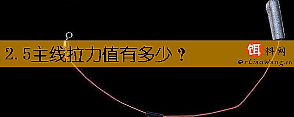 2.5主线拉力值有多少