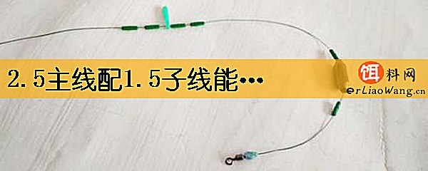 2.5主线配1.5子线能钓多大鱼