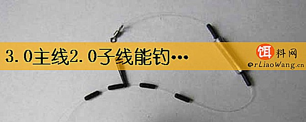 3.0主线2.0子线能钓多大鱼
