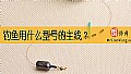 钓鱼用什么型号的主线？