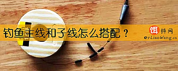 钓鱼主线和子线怎么搭配