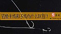 钓鱼主线和子线有什么区别？
