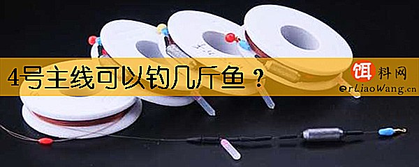 4号主线可以钓几斤鱼