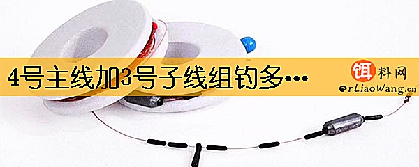 4号主线加3号子线组钓多大鱼