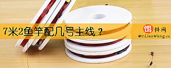 7米2鱼竿配几号主线