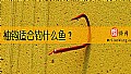 《袖钩适合钓什么鱼？》封面图