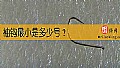 《袖钩最小是多少号？》封面图