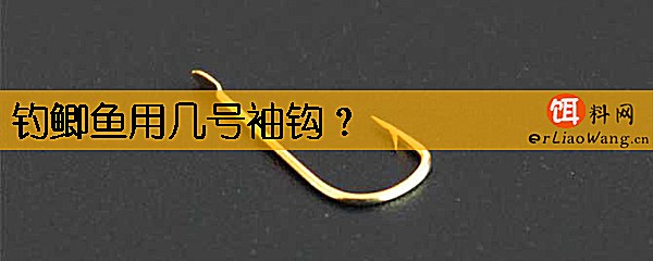钓鲫鱼用几号袖钩