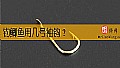 钓鲫鱼用几号袖钩?