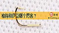 《袖钩和伊豆哪个厉害？》封面图