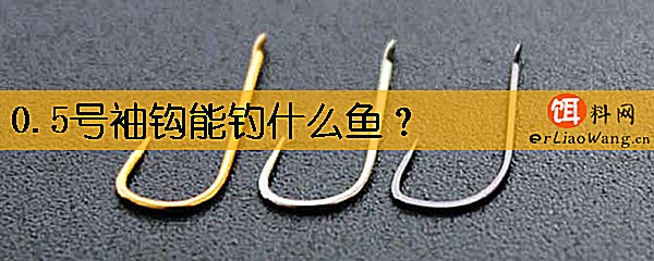 0.5号袖钩能钓什么鱼