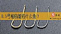 0.5号袖钩能钓什么鱼?