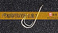 《1号袖钩可以钓什么鱼？》封面图