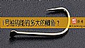 《1号袖钩能钓多大的鲫鱼？》封面图