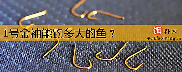 1号金袖能钓多大的鱼